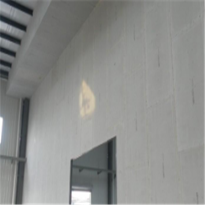 五华宁波ALC板|EPS加气板隔墙与混凝土整浇联接的实验研讨